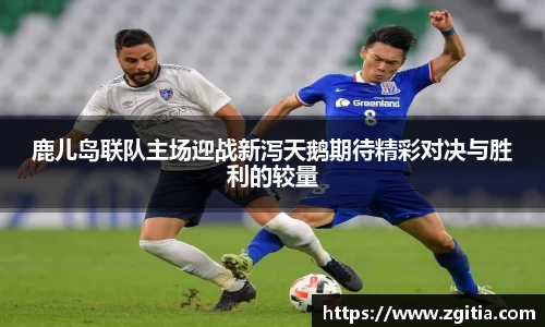 鹿儿岛联队主场迎战新泻天鹅期待精彩对决与胜利的较量